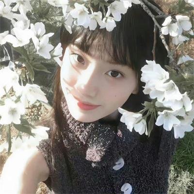 剑花烟雨江南国语